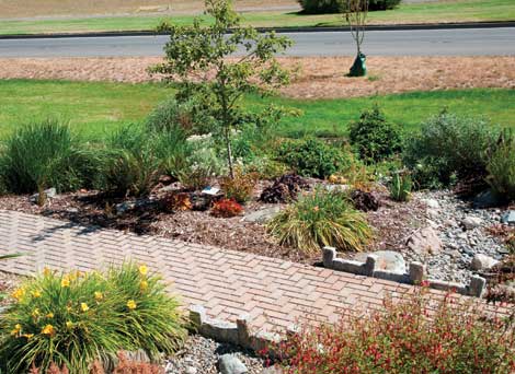 Examples of rain gardens can be seen at the city of Tacoma's green-building model home. 