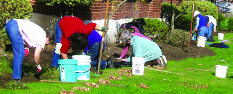 Hill and Dale club plants sunshine at soldiers’ home