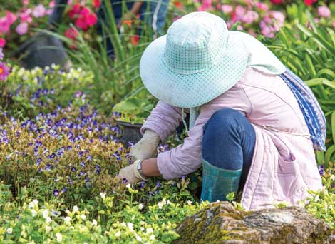 Ailments that come from home gardening can be treated with home remedies. (Littlestocker-Shutterstock.com)