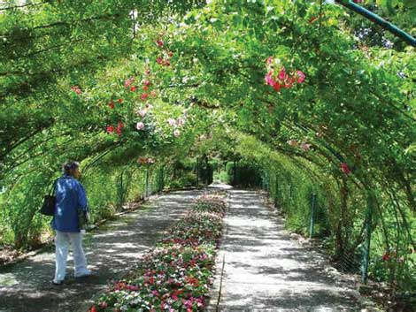 Walk-through gardens are part of Point Defiance Park.