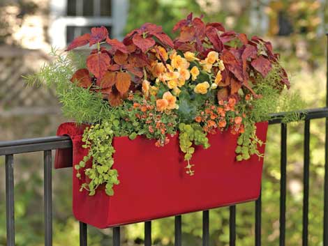 Planters that hang on railings are one way to maximize space outdoors for flowers.