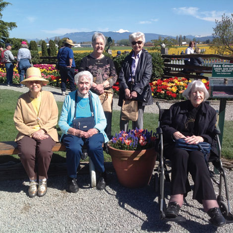 Bev More, Florence Bargmeyer, Sally Ann McLean , Norma Bartlett and Audrey Stacy posed at the Roosengarde tulip garden in La Conner.  with Mount Hood in the background. (Courtesy photo) 
