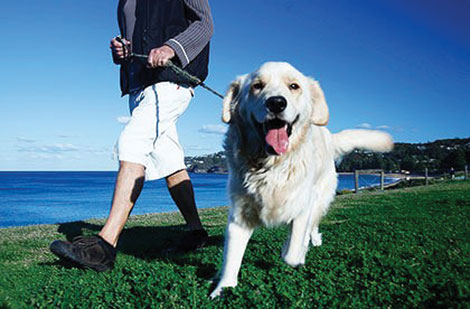 According to researchers, people who get exercise by walking their dogs are healthier and happier.