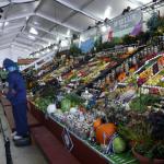 Granges and their displays of farm produce and products are among the colorful sights at the Washington State Fair.
