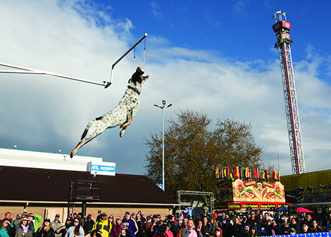 Fair jumps into spring