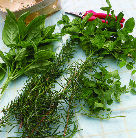 Let’s hear it for herbs