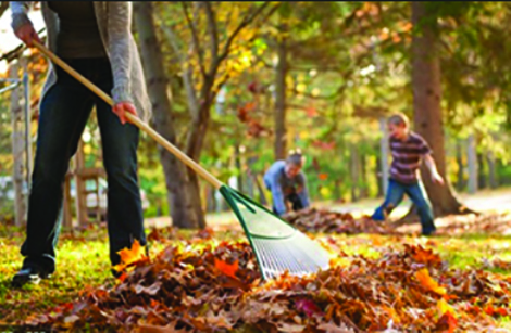 Winterizing lawns and gardens makes spring more fun