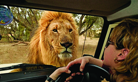 Online show whets appetites for intercontinental travel