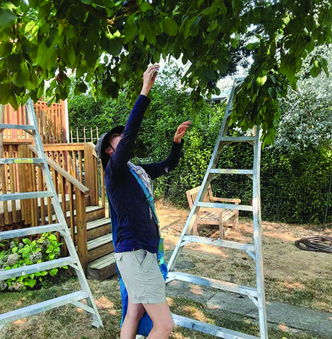 Grant nourishes the fruits of Food is Free Tacomaâ€™s labor