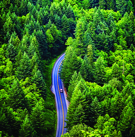 Washington among best states for fall visits