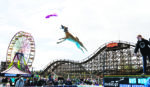 Spring is sprung. So is the fair.