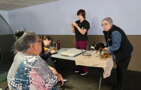 Pet owners can get community-level vet services