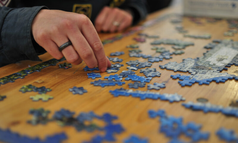 Puzzles, word games, reading equal better brain
